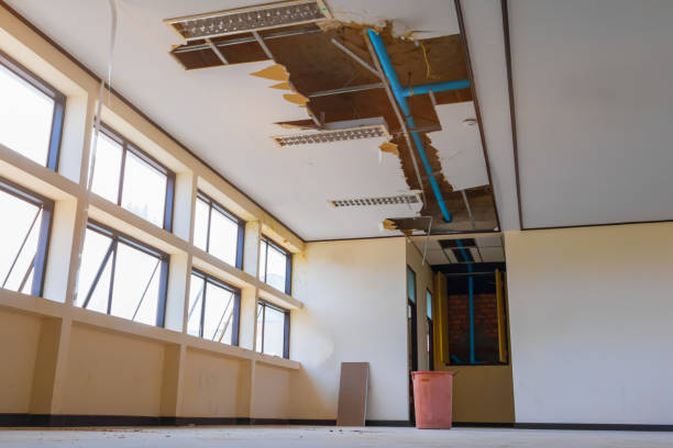 Best Basement water damage restoration  in Roselawn, IN