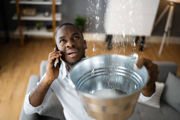  Roselawn, IN Water damage restoration Pros