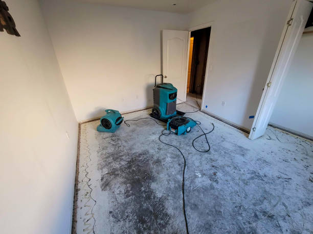 Best Water damage restoration mold remediation  in Roselawn, IN