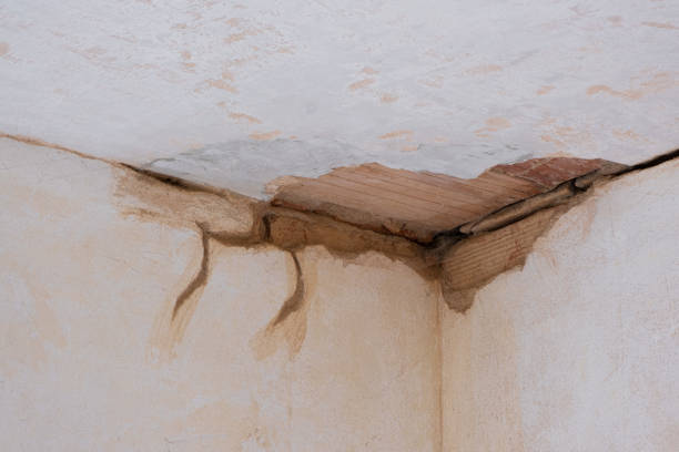 Best Fire Damage Restoration  in Roselawn, IN