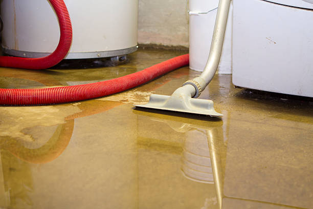 Best Water damage restoration near me  in Roselawn, IN